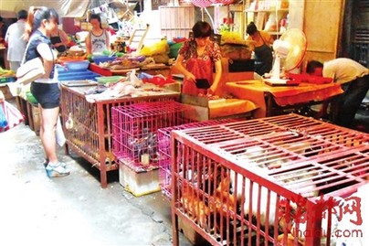莆田农贸市场禽类销售回暖 鸡肉价格稳中有升