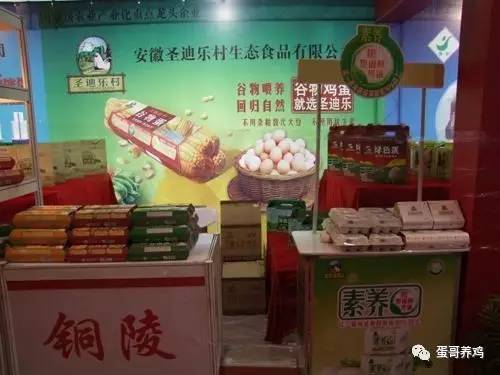 家禽行业上半年观察 行情低迷下的挑战与应对