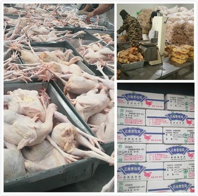 祥云云源春家禽屠宰加工厂迎来昆明动物卫生监督所考察，助力农产品质量提升