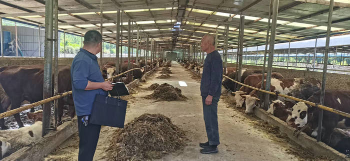 康乐县统计局扎实开展2025年二季度畜禽监测入户调查，精准把脉家禽销售市场动态