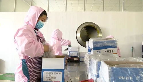 立亭酱菜 家禽销售链条中的农副产品革新品牌