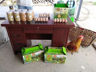 酸甜苦辣扶贫四味——一位第一书记的十个扶贫故事之家禽销售